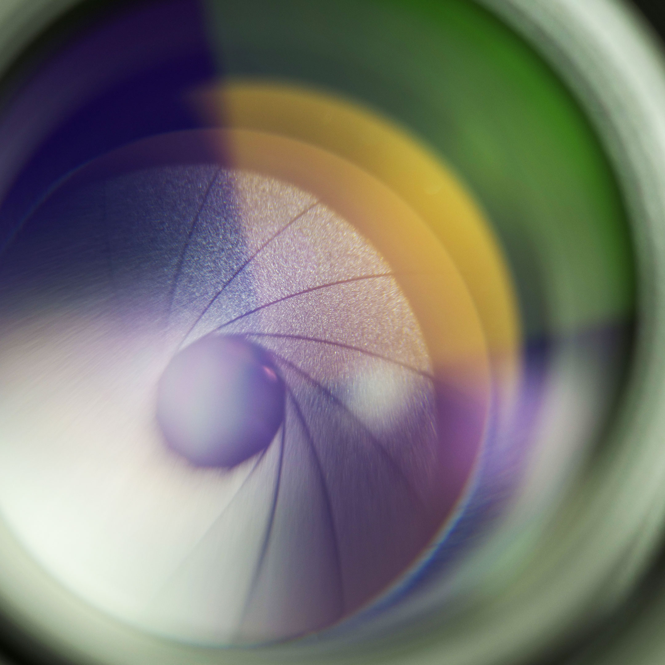 Creative assets and integrated solutions for visual storytelling. Exquisite photography, videography, web design, brand identity and AI generative artwork
